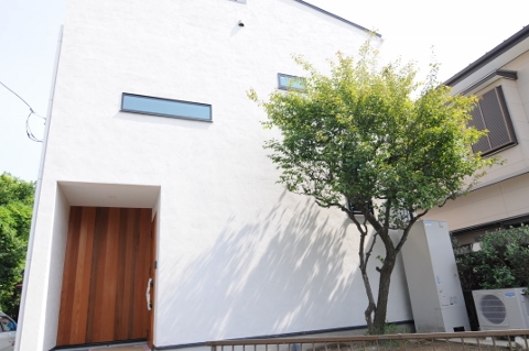 スキップフロアーと屋上、大型収納がある家画像1